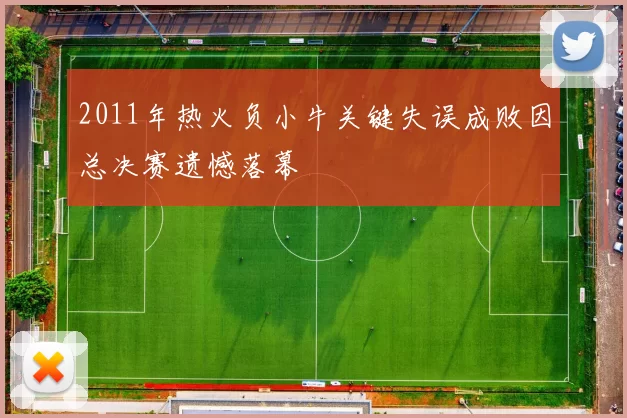 2011年热火负小牛关键失误成败因总决赛遗憾落幕