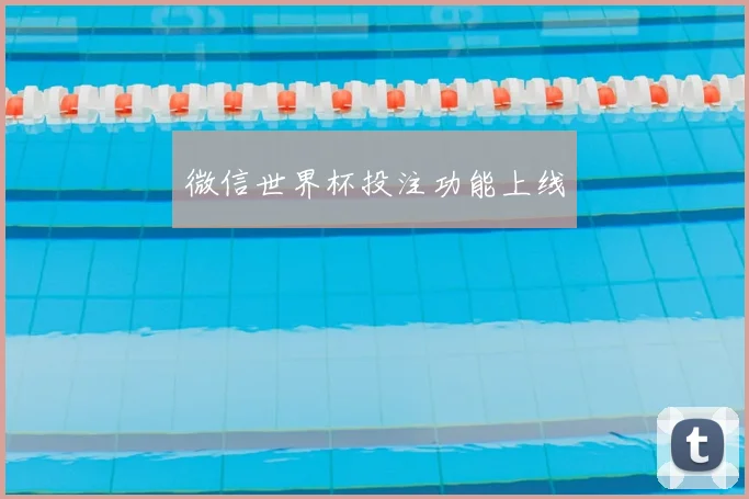 微信世界杯投注功能上线